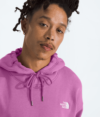 Men’s Evolution Vintage Hoodie