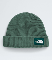 Salty Lined Beanie