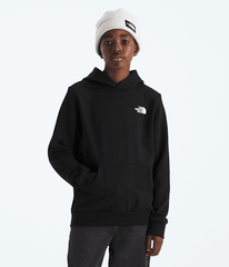 Boys’ & Girls’ Evolution Box NSE Pullover Hoodie—Graphic